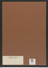 Diatomeae indet. Zeichnungen Sammlung Grunow Mappe 03528 (Herbarium_W_Grunow_drawings_Folder_03528)
